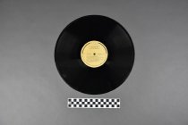 Vinyl Record (scale)